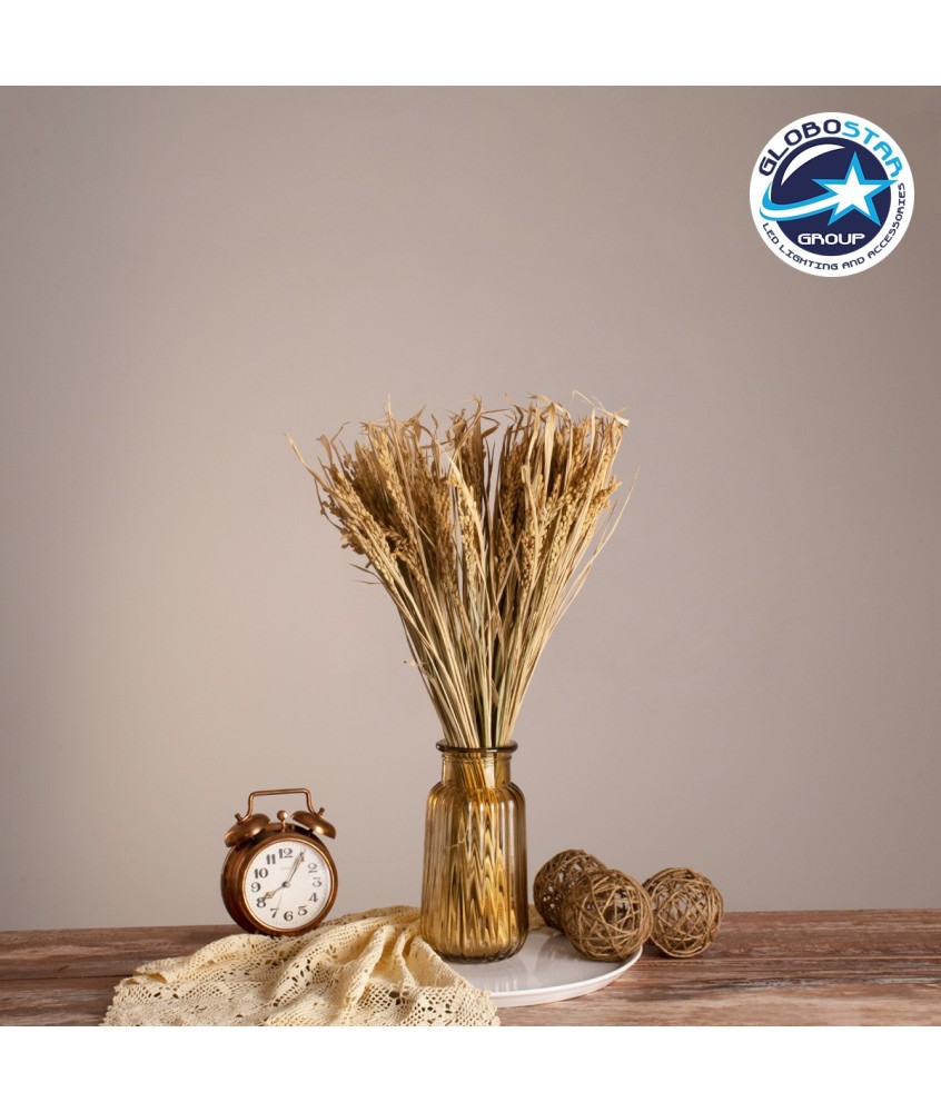 GloboStar® RISEGRASS 36505 Αποξηραμένο Φυτό Ρύζι - Μπουκέτο Διακοσμητικών Κλαδιών Μπεζ Υ60cm - Σετ 105 τμχ